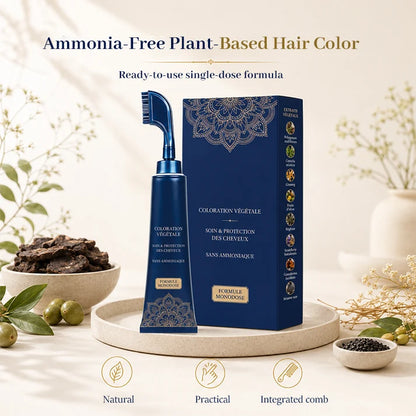 ⏳Time-Limited Special⏰Herbal Hair Dye Comb for Home Use