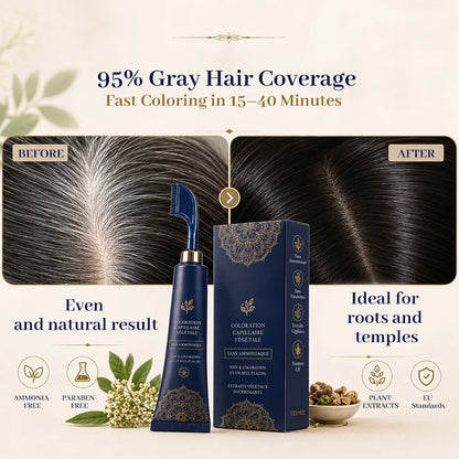 ⏳Time-Limited Special⏰Herbal Hair Dye Comb for Home Use
